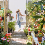 Jakie rośliny wybrać do ogrodu?